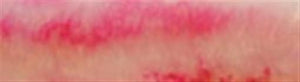 1" x 1" x 6" Pen Blank Golden Violet Acrylester #30 - Wood Acrylic Supply