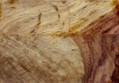 Rosewood Honduran Burl Swirly Bottle Stopper 1 1/2
