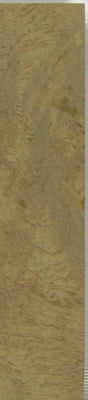 Nargusta Black Burl Eye (1 pc) Inlay/Thin 1/16