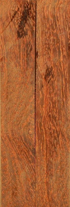 Camel Thorn (2 pc) Mini Knife Scale  3/16"x3/4"x5"      002 - Wood Acrylic Supply
