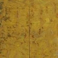 Nargusta Black Burl Eye 2 pc Pistol/Knife Scales  3/8"x1 3/4"x8"      802