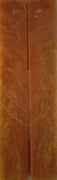 Sparkle Gold Acrylester #06 (2 pc) Knife Scales 3/16" x 3/4" x 5" - 2169 - Wood Acrylic Supply