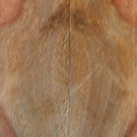 Afzelia Burl w Sap (2 pc) Razor Knife Scales 3/16" x 1 3/4" x 6" - 8160 - Wood Acrylic Supply