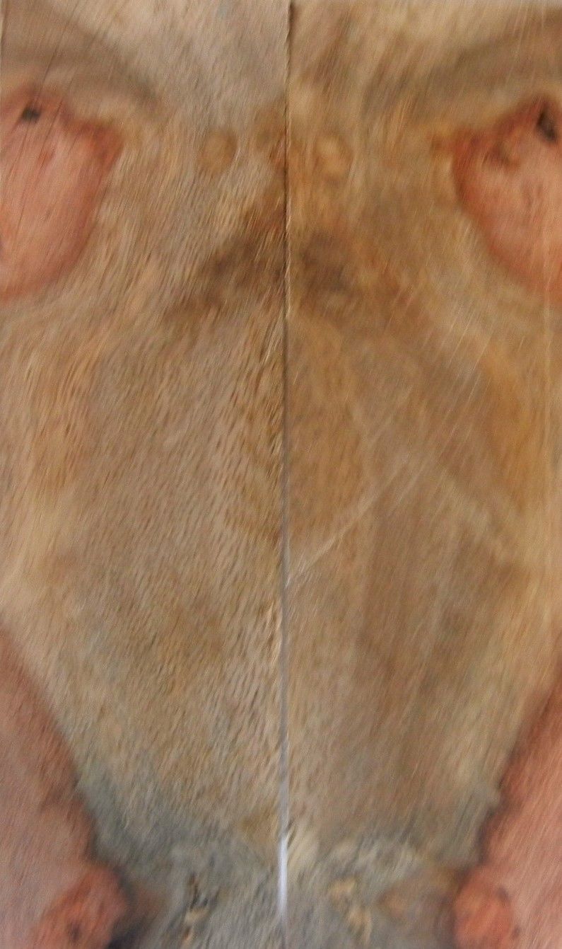 Afzelia Burl w Sap (2 pc) Razor Knife Scales 3/16" x 1 3/4" x 6" - 8160 - Wood Acrylic Supply