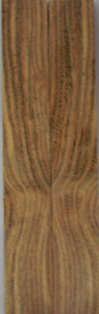 Chechen (2 pc) Mini Knife Scaless  3/16"x3/4"x5"    003
