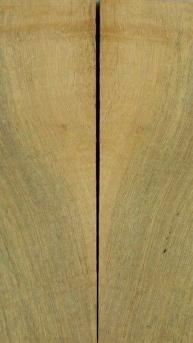 Katalox Spalted Sapwood 2 pc Knife Scales  1/4"x1 1/2"x6"      AP1