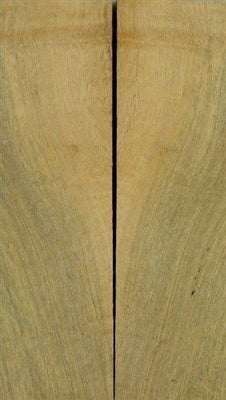 Katalox Spalted Sapwood 2 pc Knife Scales  1/4