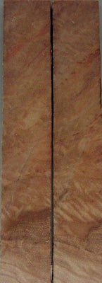 Eucalyptus Curly (2 pc) Knife Scaless 3/16
