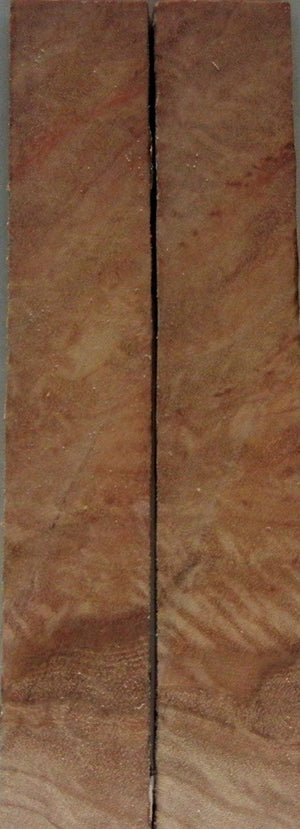 Eucalyptus Curly (2 pc) Knife Scaless 3/16" x 3/4" x 5" - 7102