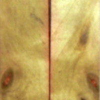 Box Elder Flamed (2 pc) Knife Scales 3/16" x 1" x 6" - 1115 - Wood Acrylic Supply