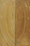 Chinaberry 2 pc Pistol/Knife Scales  3/8"x1 3/4"x6"      001