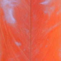 Cotton Candy Pink Acrylester #15 (2 pc) Knife Scales 1/4" x 1" x 5" - 8088 - Wood Acrylic Supply
