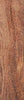 Camel Thorn 1 pc Inlay/Thin 3/8 x 1 1/2 x 6 \538530032 - Wood Acrylic Supply