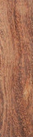 Camel Thorn 1 pc Inlay/Thin 3/8 x 1 1/2 x 6 \538530032 - Wood Acrylic Supply