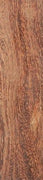 Camel Thorn 1 pc Inlay/Thin 3/8 x 1 1/2 x 6 \538530032 - Wood Acrylic Supply