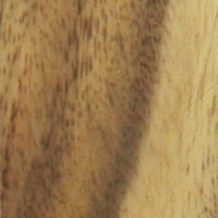 Monkey Pod w Sap (1 pc) Inlay/Thin 1/4x2x6 - 8292 - Wood Acrylic Supply