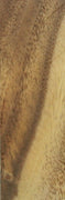 Monkey Pod w Sap (1 pc) Inlay/Thin 1/4x2x6 - 8292 - Wood Acrylic Supply