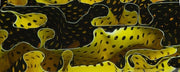 Canary Water Mesh BTW23KB Acrylic Knife Blank 1" x 1 1/2" x 6" Canary Water Mesh BTW23KB - Wood Acrylic Supply