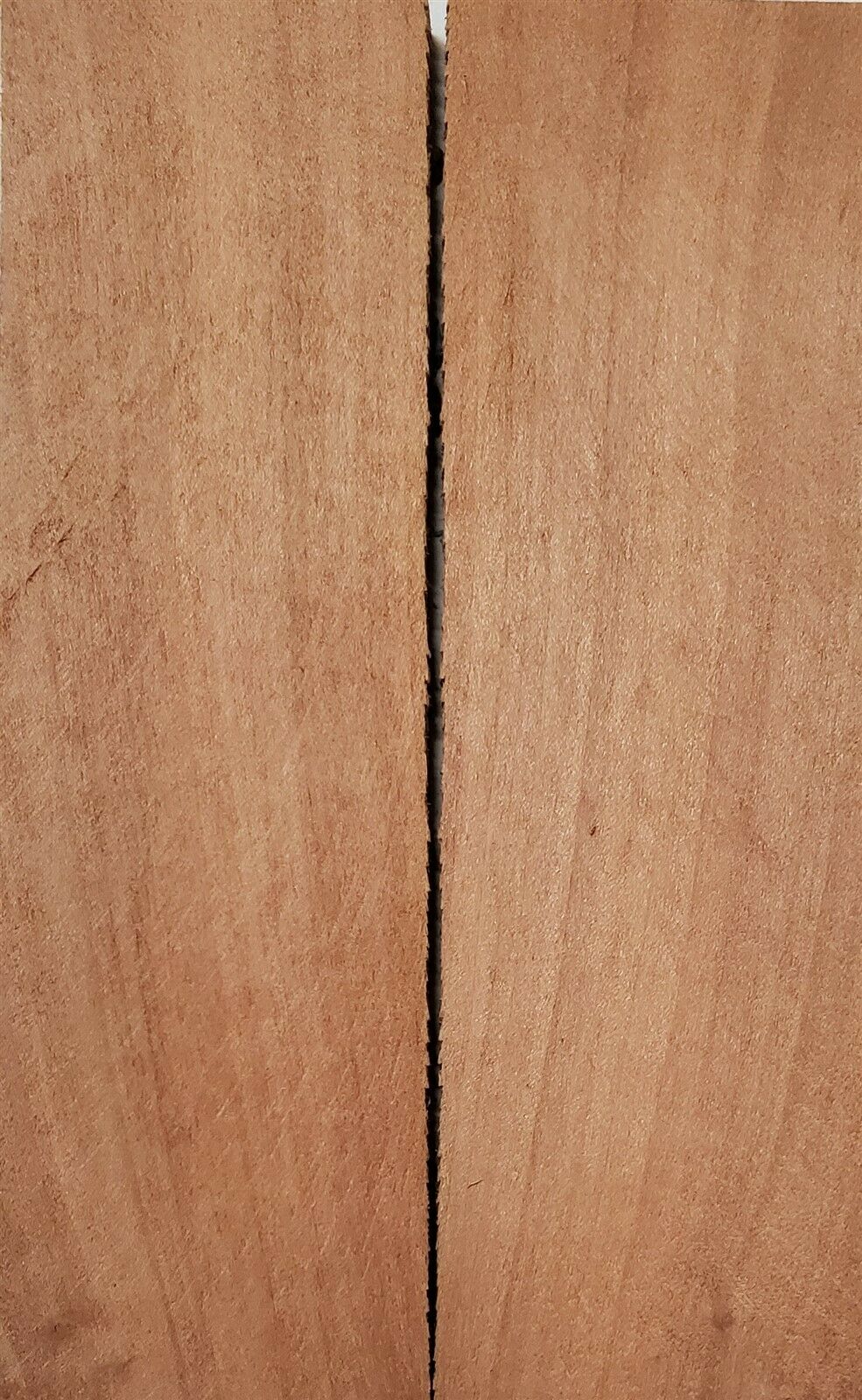 Apple (2 pc) Knife Scaless 1/4" x 1 1/2" x 5" - (9)