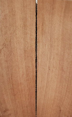 Apple (2 pc) Knife Scaless 1/4" x 1 1/2" x 5" - (9)
