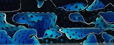 Blue Topaz Water Mesh BTW15KSS Acrylic (2 pc) Knife Scales 3/16