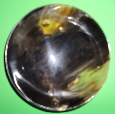 Polished buffalo horn bowl measuring 6