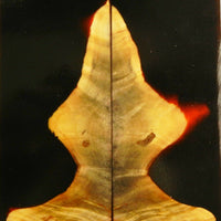 Buckeye Burl Stabilized w Alumilite (2 pc) Knife Scales 3/8" x 2" x 5" - (43) - Wood Acrylic Supply