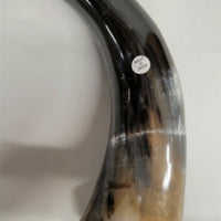 Buffalo Horn on Wooden Base (3"x4") 9.5"