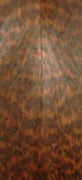 Snakewood (2 pc) Knife Scale 3/8" x 1 1/2" x 5"