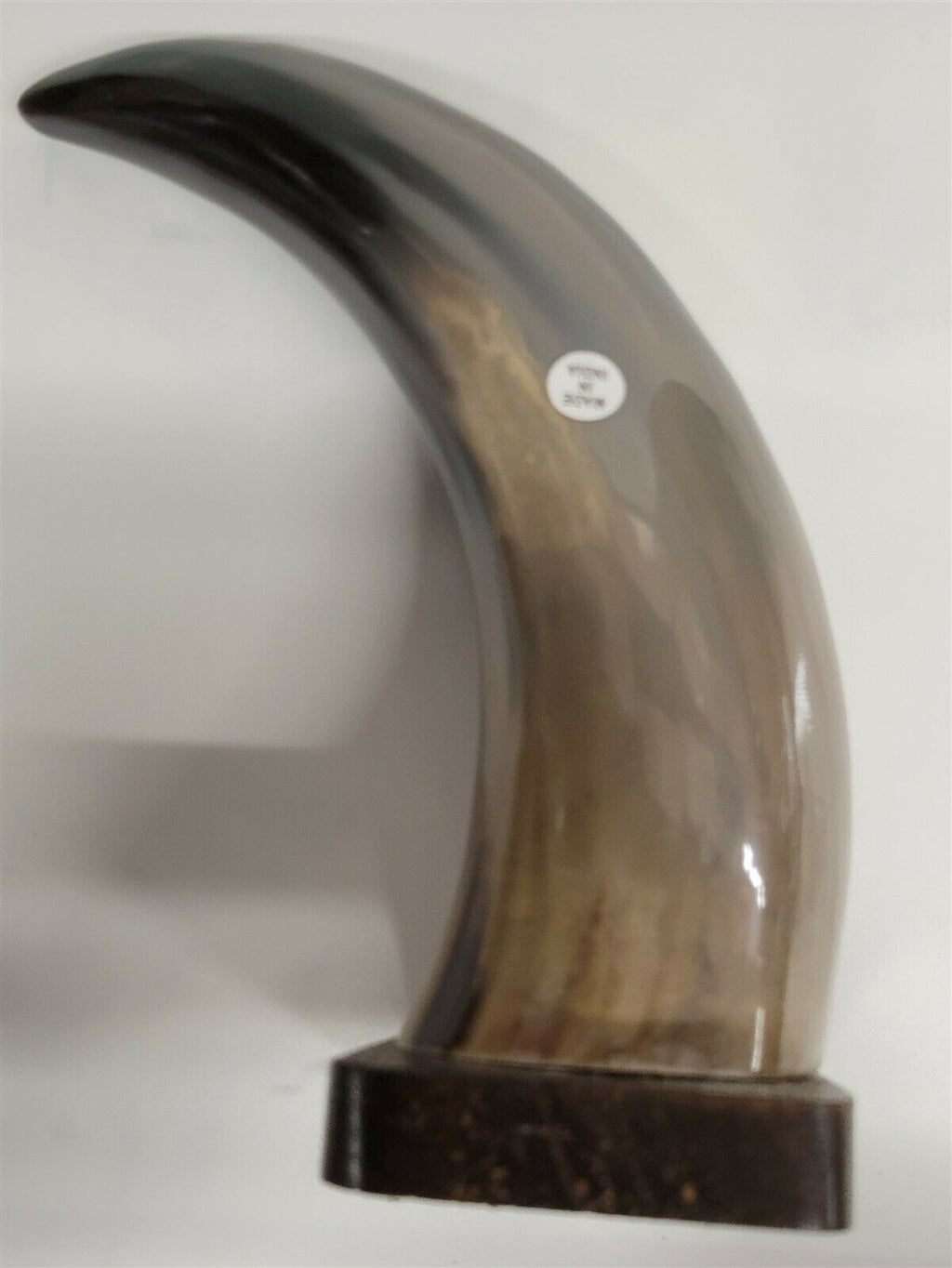Buffalo Horn on Wooden Base (3"x4") 8.75"