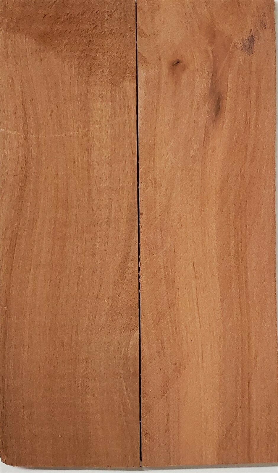 Apple (2 pc) Knife Scaless 1/4" x 1 1/2" x 5" - (10)