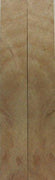 Oak Black Burl (2 pc) Knife Scales 3/16" x 3/4" x 5" - 7551 - Wood Acrylic Supply