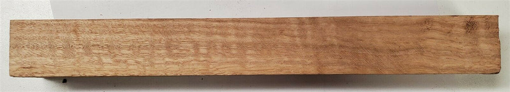 Eucalyptus Curly (1 pc) Turning 1 1/2"sq x 12" - (42)