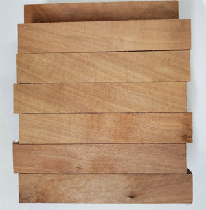 Apple (1 pc) Pen/Razor Blank 3/4"sq x 5" - (29)