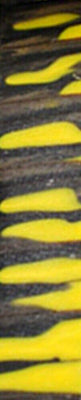 Bumblebee Genesis Acrylester 1 pc Pen/Reel Blank 1