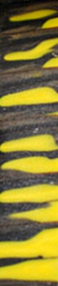 Bumblebee Genesis Acrylester 1 pc Pen/Reel Blank 1" sq x 5" - Wood Acrylic Supply