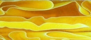 Acrylic Bottle Stopper 1 1/2" x 1 1/2" x 3" Lemon BTWBS - Wood Acrylic Supply
