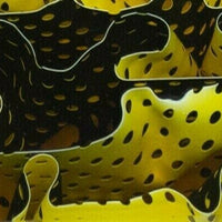 Canary Water Mesh BTW23KSL Acrylic (2 pc) Knife Scaless 3/8" x 1 1/2" x 5"