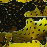 Canary Water Mesh BTW23KSS Acrylic (2 pc) Knife Scales 3/16" x 1 1/2" x 6" Canary Water Mesh BTW23KSS - Wood Acrylic Supply