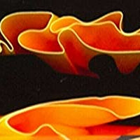 Halloween Water BTW60KSM Acrylic (2 pc) Knife Scaless 1/4" x 1 1/2" x 5"