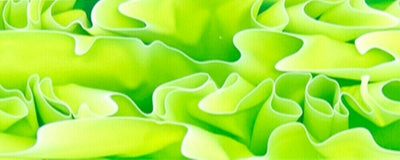 Chartreuse WaterBTW25KSM Acrylic (2 pc) Knife Scaless 1/4