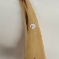 Buffalo Horn on Wooden Base (3"x4") 13"