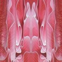 Acrylic Mini Knife Scale 3/16" x 1 1/2" x 6" Rose Water - Wood Acrylic Supply