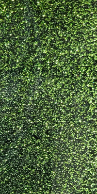 Golden Green Glitter Acrylic (1pc) 3mmx2