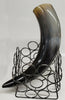 Buffalo Horn w a 5"x5" Square Dark Stand 9"