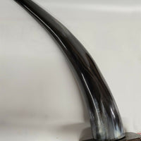 Buffalo Horn on Wooden Base (3"x4") 14"