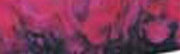 1 1/2" x 1 1/2" x 6" Game Call (1 pc) Pink Flamingo Acrylester #59