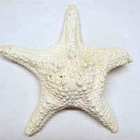 Starfish - White Jungle 6-7" (1 pc) - Wood Acrylic Supply