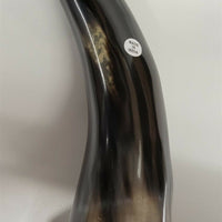 Buffalo Horn on Wooden Base (3"x4") 10"