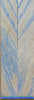 Hybrid Tiger Oak-Blue (2 pc) Knife Scales 3/16" x 3/4" x 5" - (36) - Wood Acrylic Supply